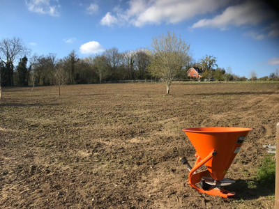 Field