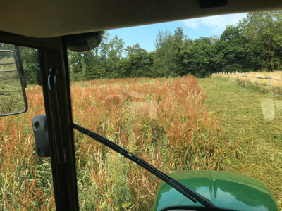 Mowing field