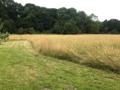 Mowing field